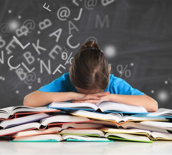 Ege G�ldem �zel E�itim